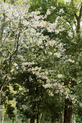 7R308978_DxO