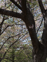 _G9P8240_DxO