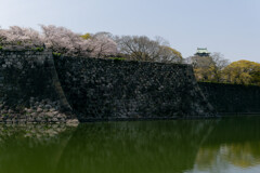 P1000848_DxO