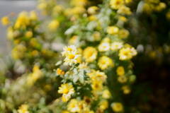DSC00094