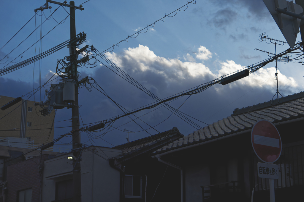 _1010238_DxO