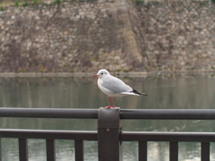 P1051327