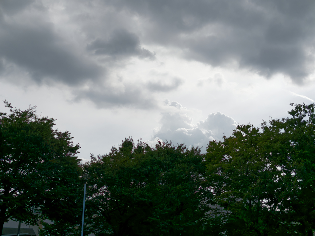 _1010640_DxO