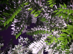 P1080944