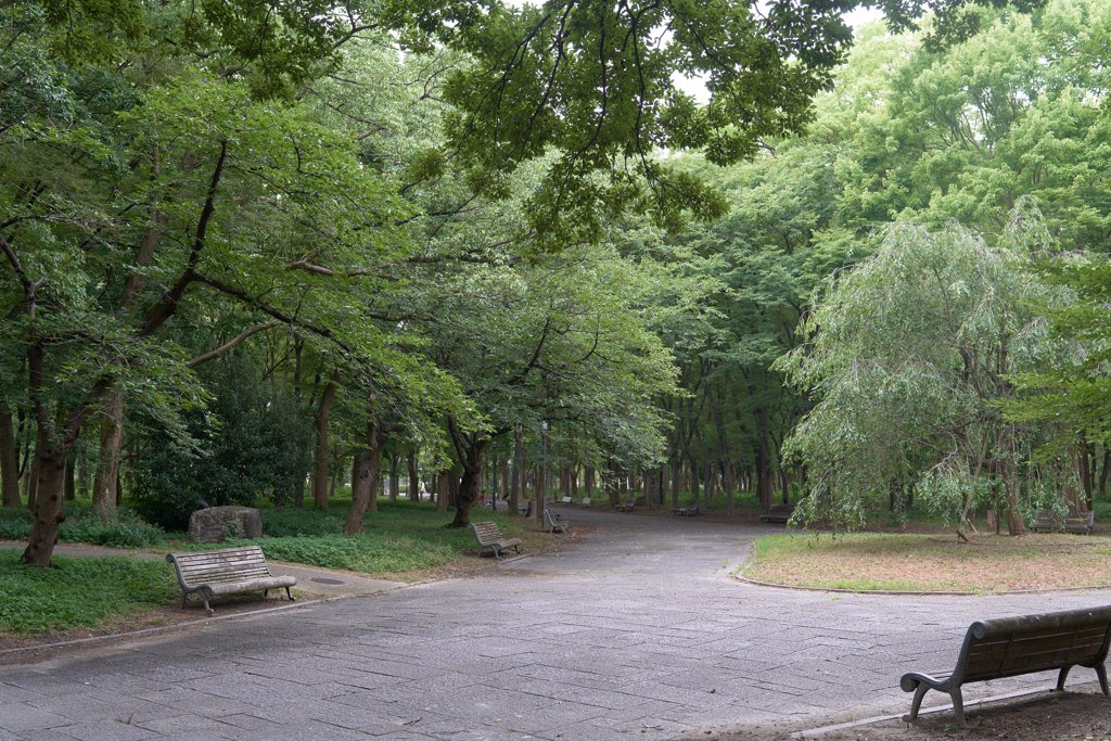 DSC06453