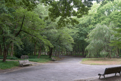 DSC06453
