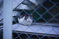 _7R32456_DxO