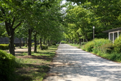 DSC00901