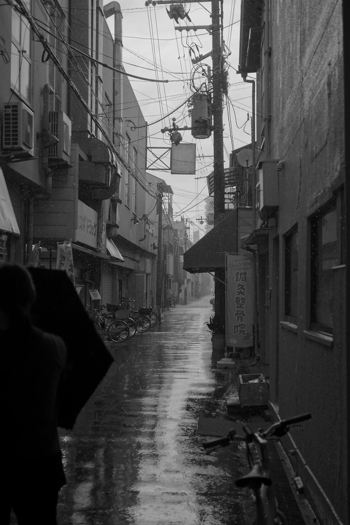 _A7C4327_DxO
