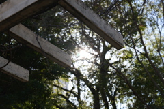 20-60mm テスト