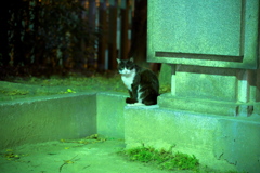 DSC01171