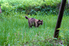 DSC06631