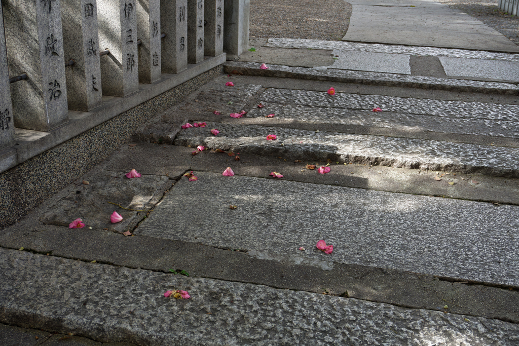 DSC01024_DxO