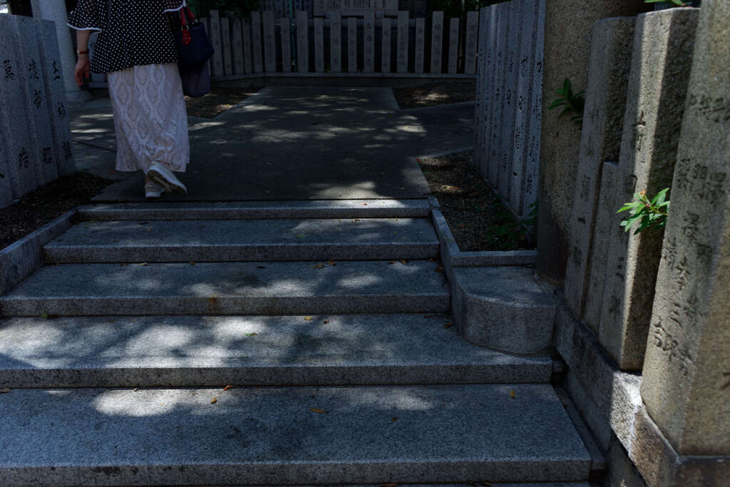 DSC09763_DxO