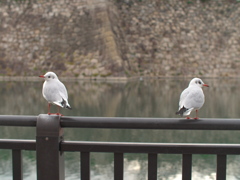 P1051316