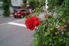 DSC00070