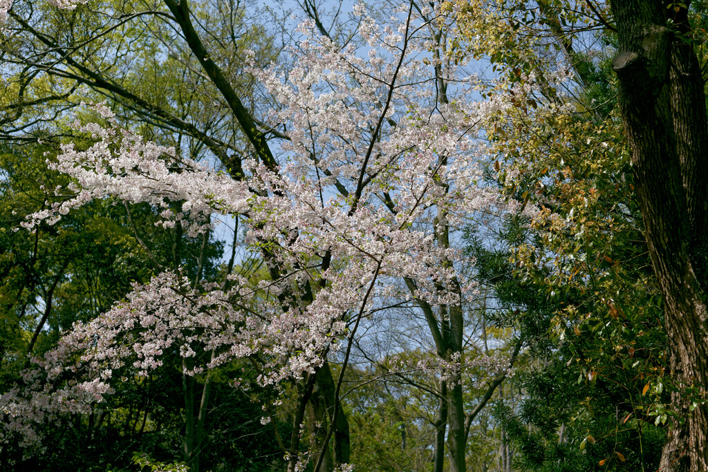 P1000834_DxO