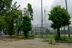 P1000564_DxO