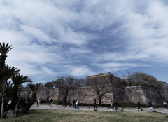 _1090428_DxO