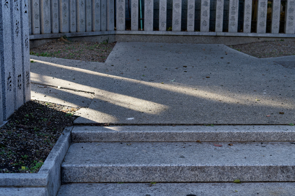 A7C01177_DxO