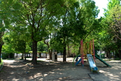 P1079499