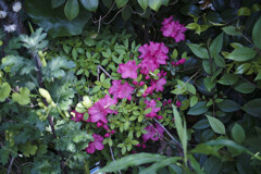 _7R32542_DxO