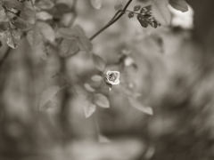 P1081987
