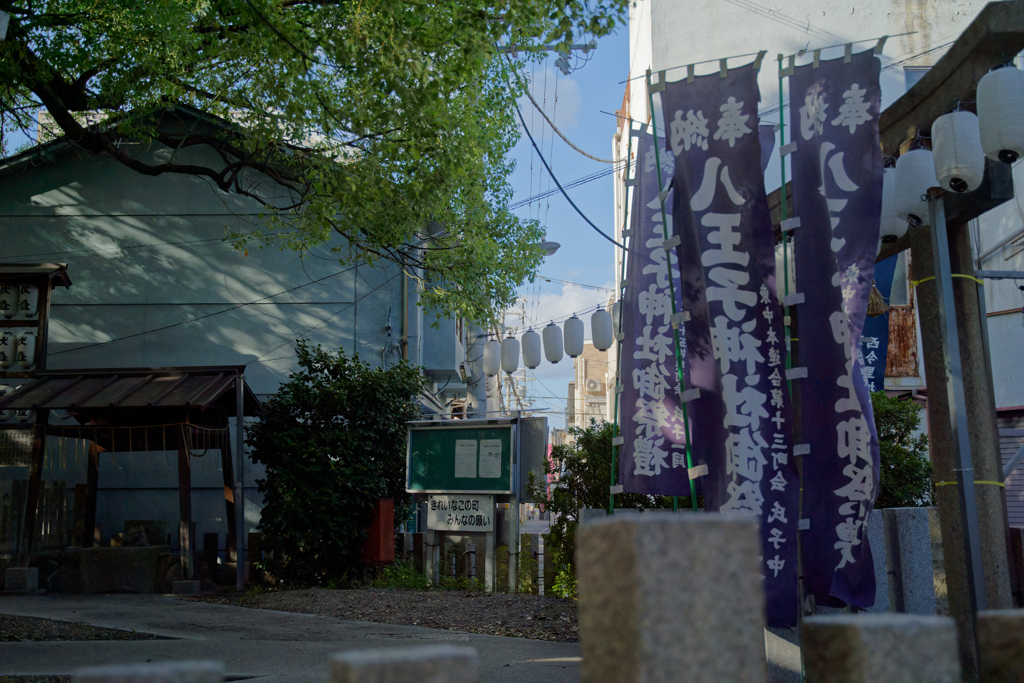肌寒くなってきました