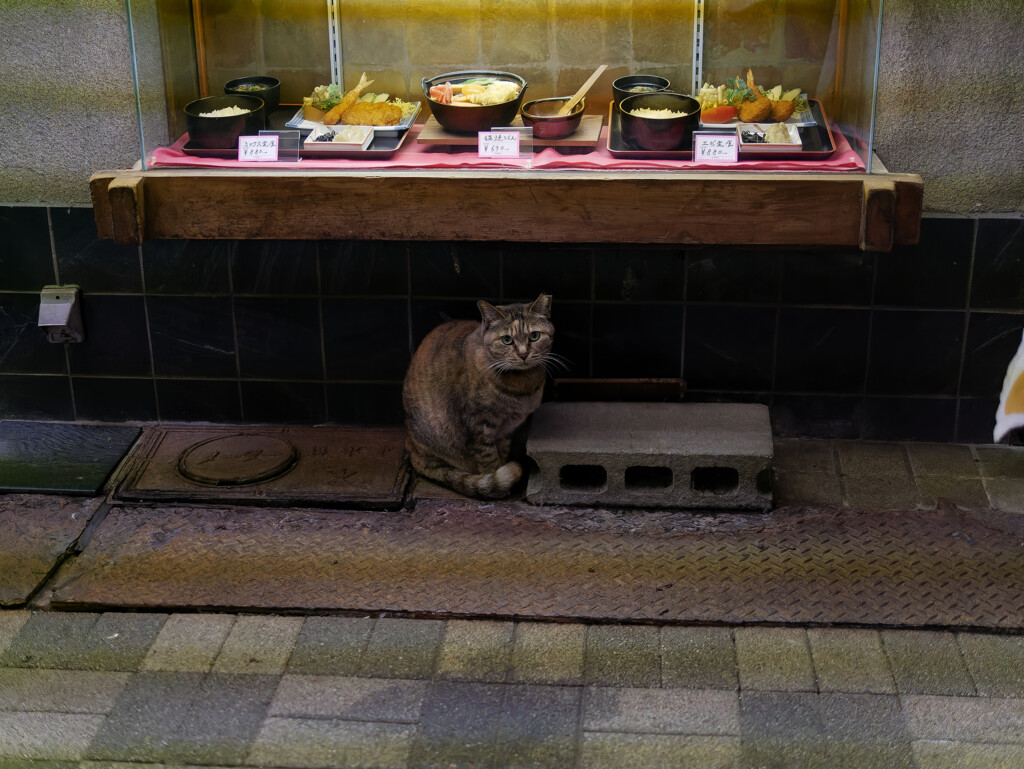 _1020159_DxO
