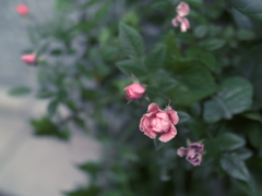 P1053663