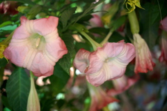 DSC01207