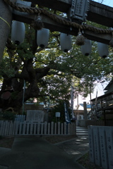 P1030705