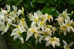 DSC01908