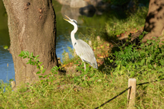 DSC03366b