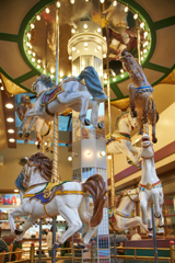 DSC00255b