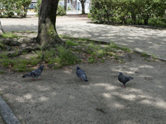 春の嵐の後で