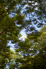 DSC02555