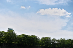 DSC00898