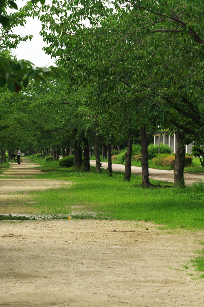 DSC01597