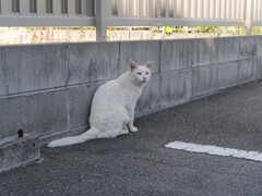 _1050530_DxO