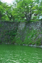 DSC01827