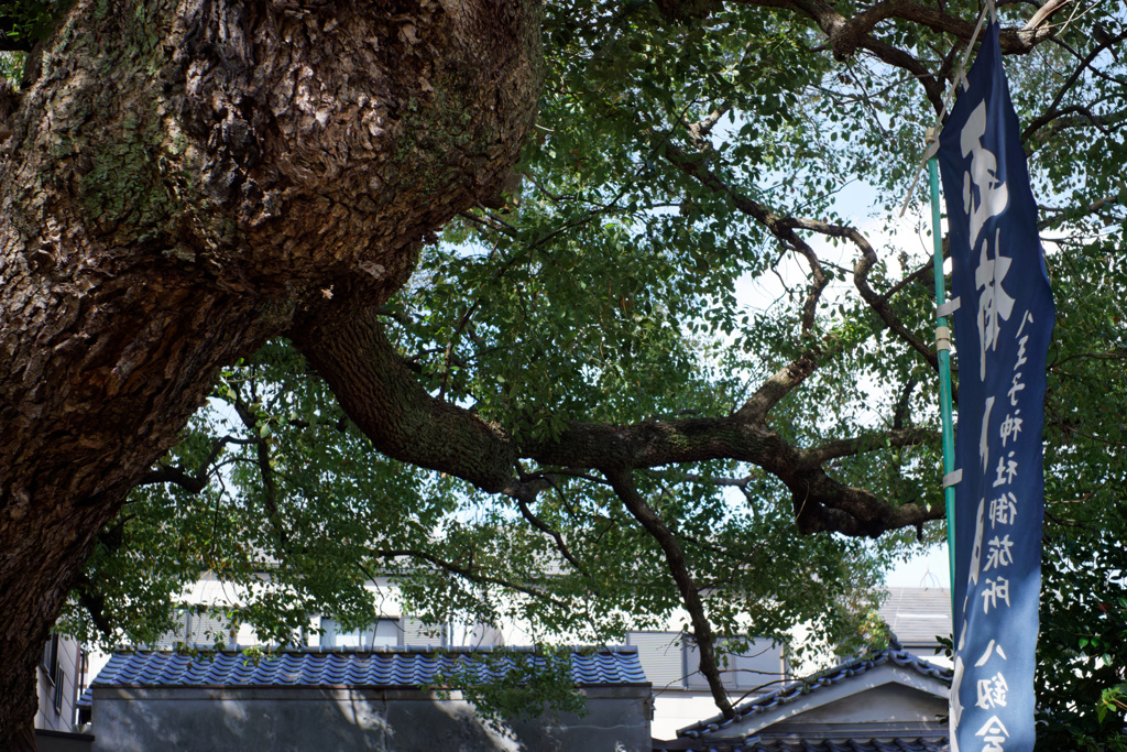 DSC01291_DxO
