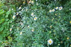 P1030647