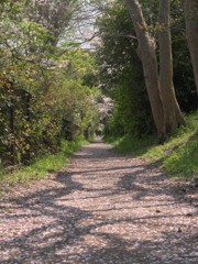 P1052764