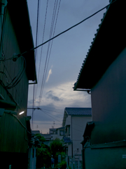 _1010443_DxO