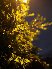 P1080943