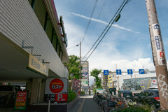 P1000606_DxO