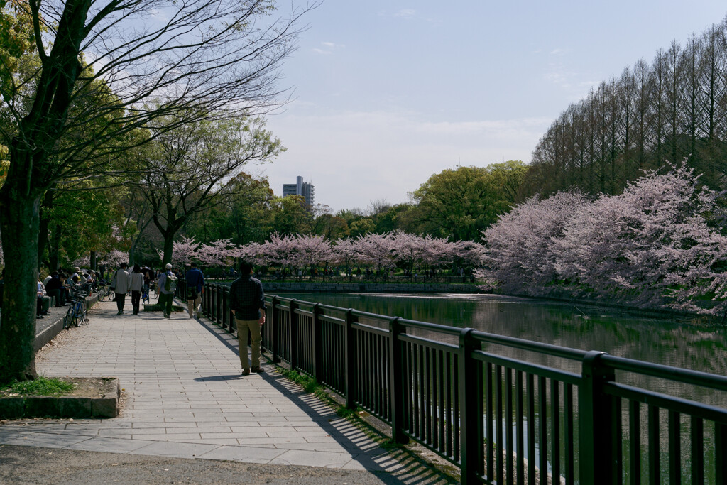 P1000846_DxO
