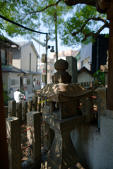 7R309364_DxO