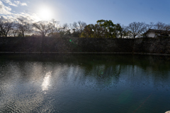 DSC04733